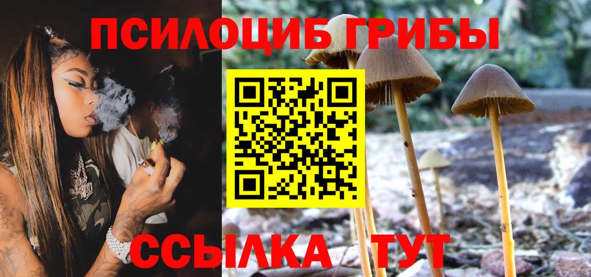 Псилоцибиновые грибы MAGIC MUSHROOMS  Вход с VPN  Асбест  цены   Галлюциногенные грибы Psilocybine cubensis 